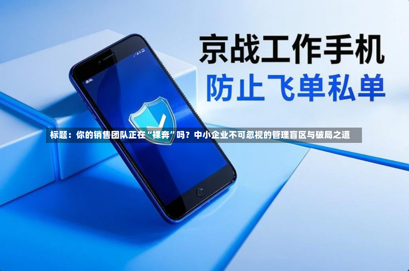 标题：你的销售团队正在“裸奔”吗？中小企业不可忽视的管理盲区与破局之道